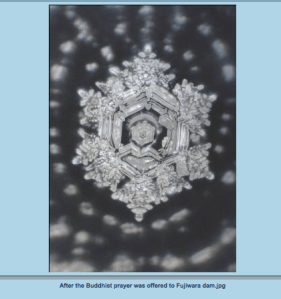 Screen Shot 2014-05-07 at 3.41.07 PM