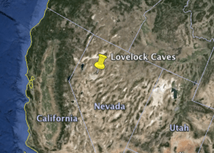 Screen Shot 2014-05-09 at 1.32.52 PM