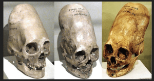 Screen Shot 2014-05-09 at 2.31.35 PM