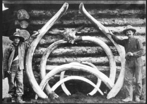 Screen Shot 2014-05-09 at 2.39.04 PM