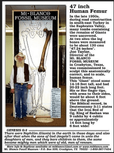 Screen Shot 2014-05-09 at 3.00.30 PM