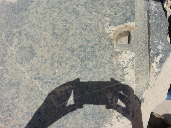 913660_10151636611376419_1339995540_o