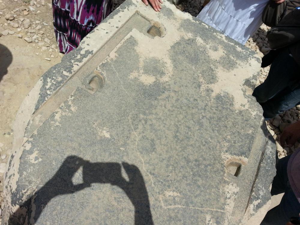 919087_10151636611581419_1488111894_o