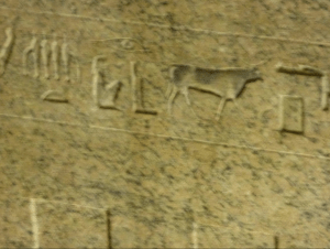 Small bull marking at Serapeum