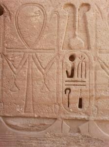 472792_10151636641726419_1423459207_o