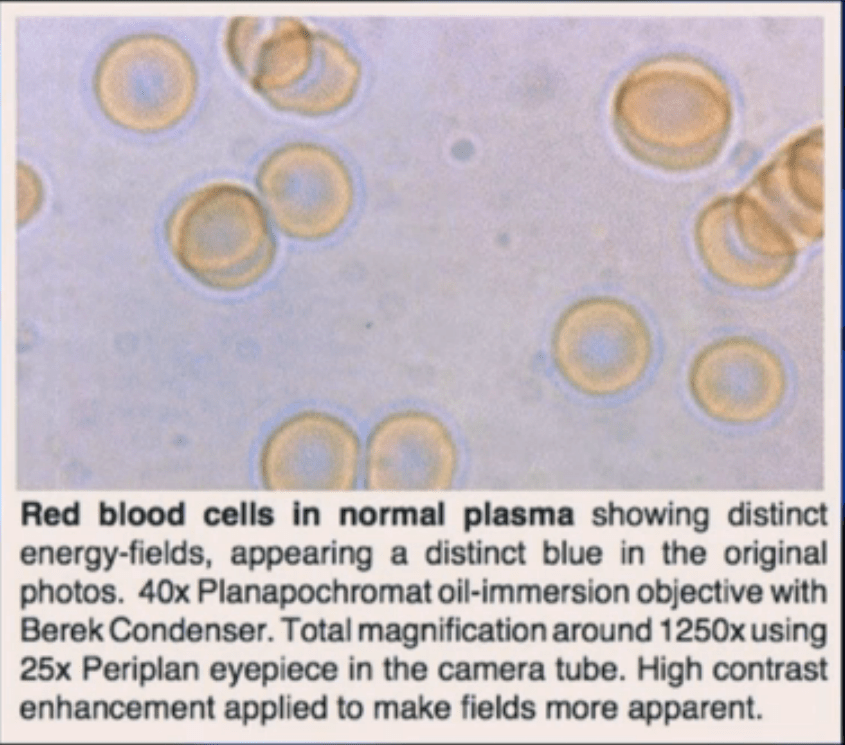 Screenshot 2015-06-19 22.45.14