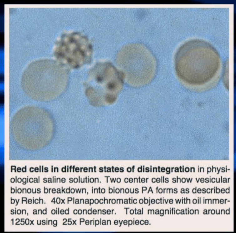 Screenshot 2015-06-19 22.47.05