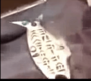 Screenshot 2015-08-06 20.11.35