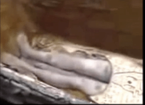 Screenshot 2015-08-06 20.12.09