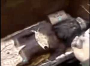 Screenshot 2015-08-06 20.12.29