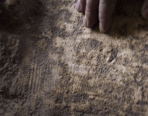 Screenshot 2015-07-21 09.14.23