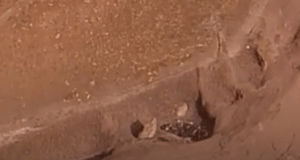 Screenshot 2015-08-07 14.36.37