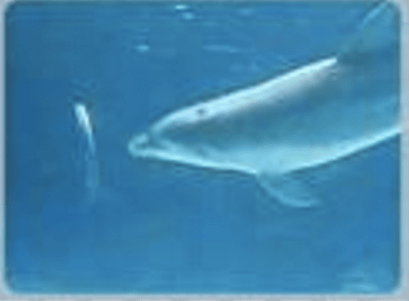 Screenshot 2016-03-30 12.27.53